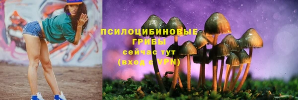 тгк Аркадак
